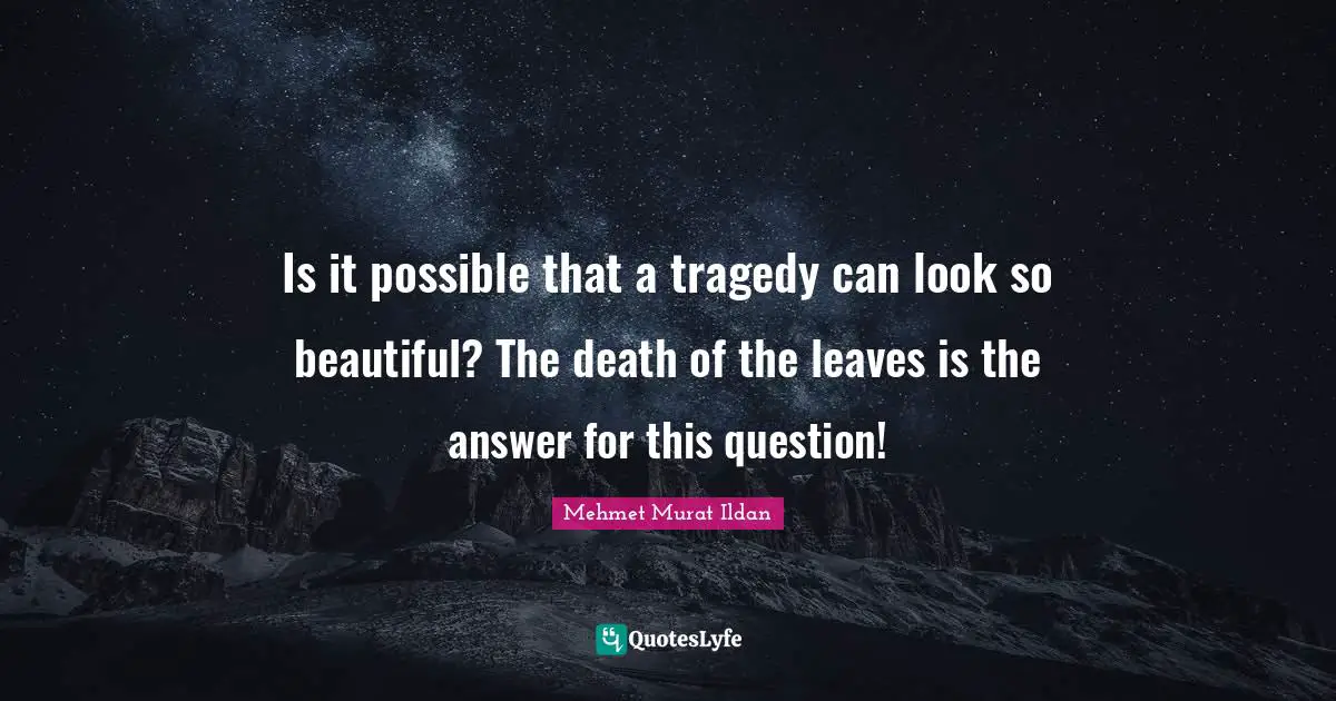 Is it possible that a tragedy can look so beautiful? The death of the leaves is the answer for this question!