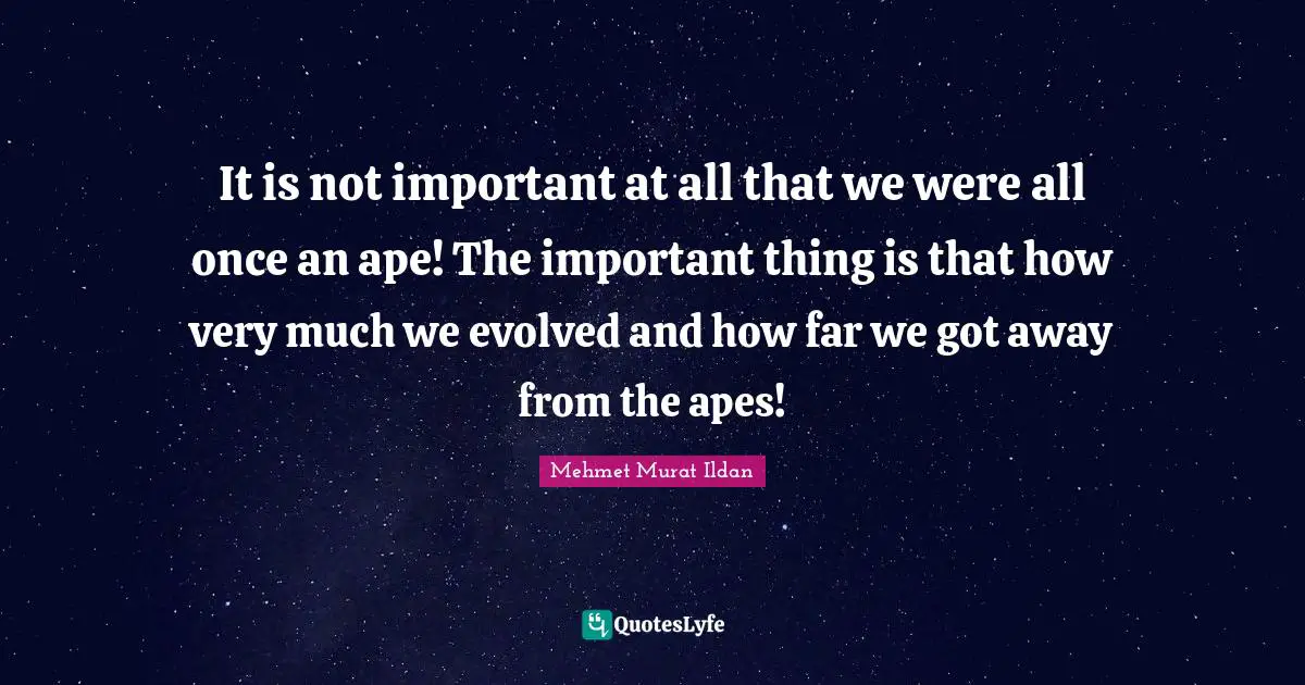 It is not important at all that we were all once an ape! The important thing is that how very much we evolved and how far we got away from the apes!