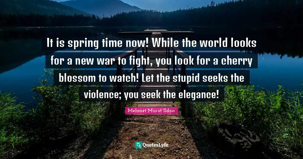 Spring Time Quotes: "It is spring time now! While the world looks for a new war to fight, you look for a cherry blossom to watch! Let the stupid seeks the violence; you seek the elegance!"