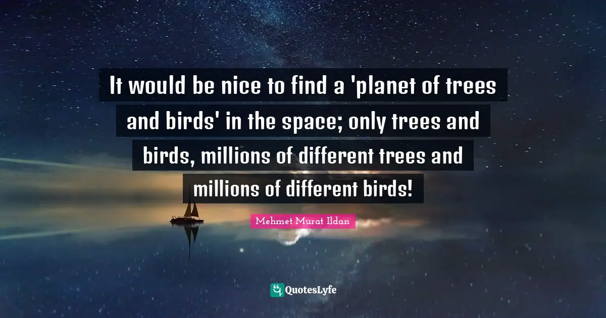 It would be nice to find a 'planet of trees and birds' in the space; only trees and birds, millions of different trees and millions of different birds!