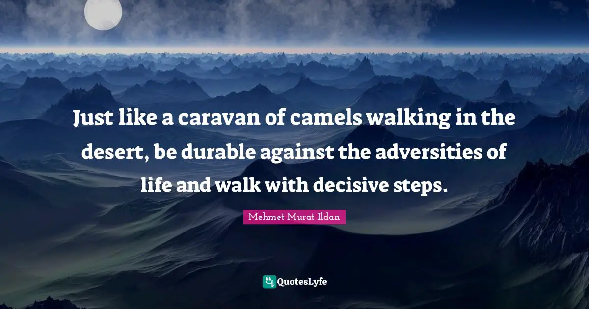 Camels Quotes: "Just like a caravan of camels walking in the desert, be durable against the adversities of life and walk with decisive steps."