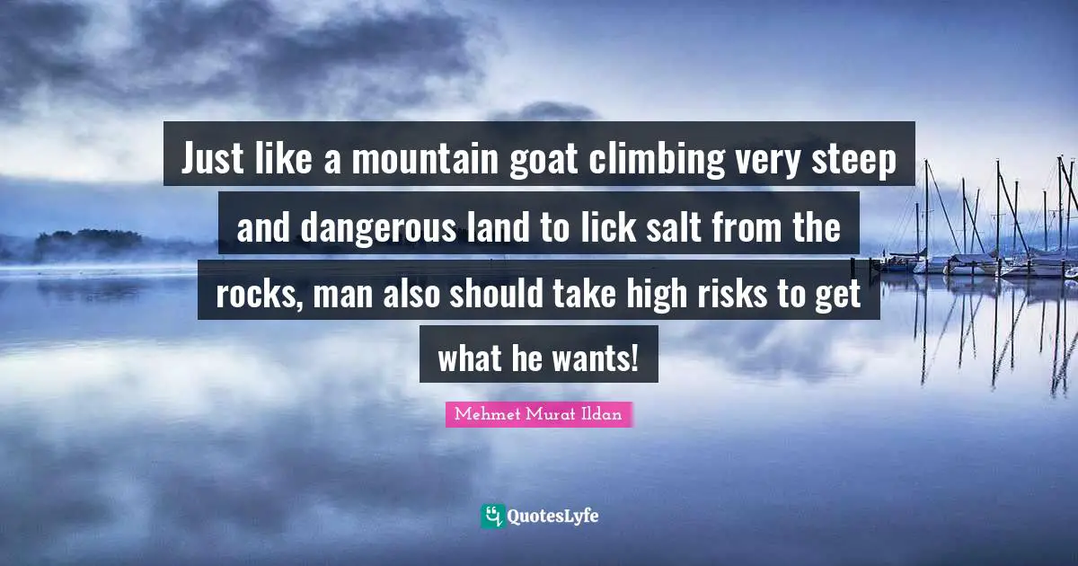 Just like a mountain goat climbing very steep and dangerous land to lick salt from the rocks, man also should take high risks to get what he wants!