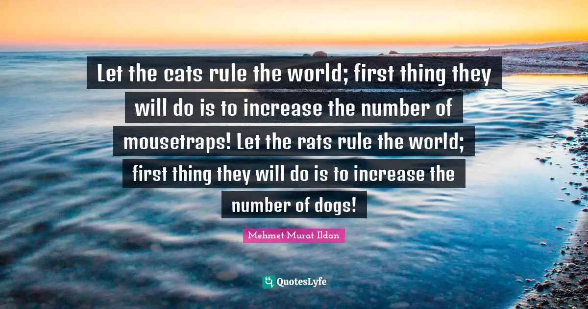 Let the cats rule the world; first thing they will do is to increase the number of mousetraps! Let the rats rule the world; first thing they will do is to increase the number of dogs!
