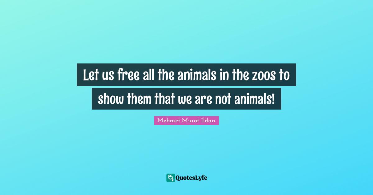 Let us free all the animals in the zoos to show them that we are not animals!