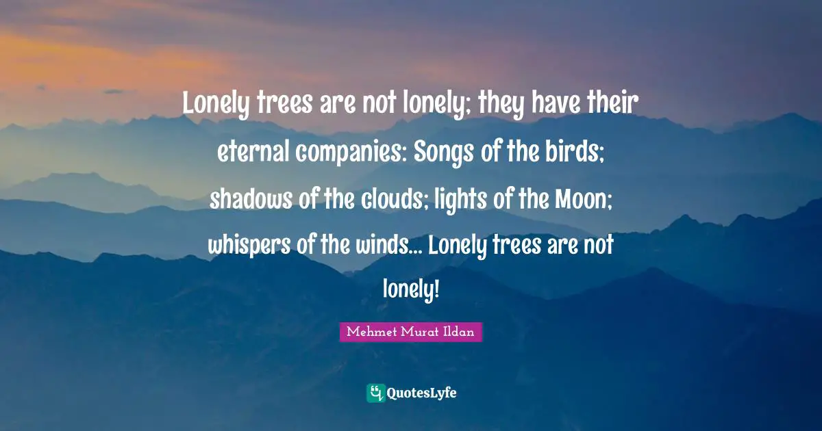 Lonely trees are not lonely; they have their eternal companies: Songs of the birds; shadows of the clouds; lights of the Moon; whispers of the winds... Lonely trees are not lonely!