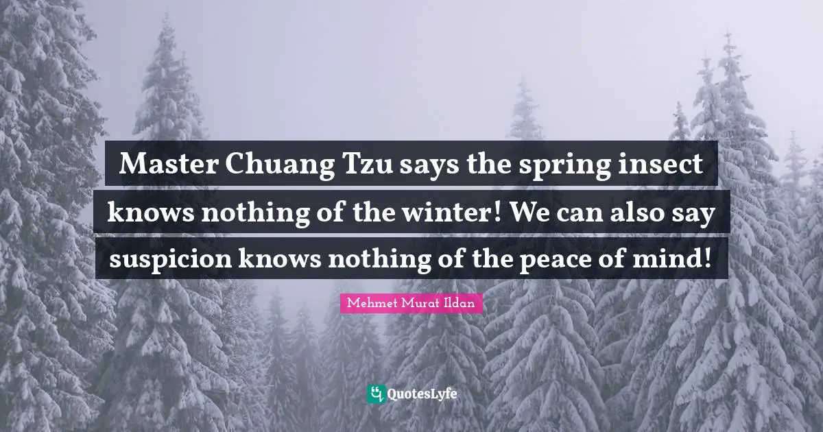 Master Chuang Tzu says the spring insect knows nothing of the winter! We can also say suspicion knows nothing of the peace of mind!