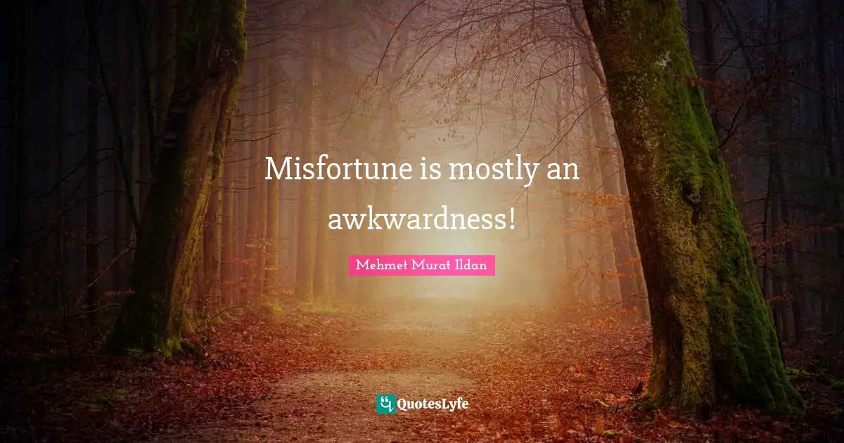 Awkwardness Quotes: "Misfortune is mostly an awkwardness!"