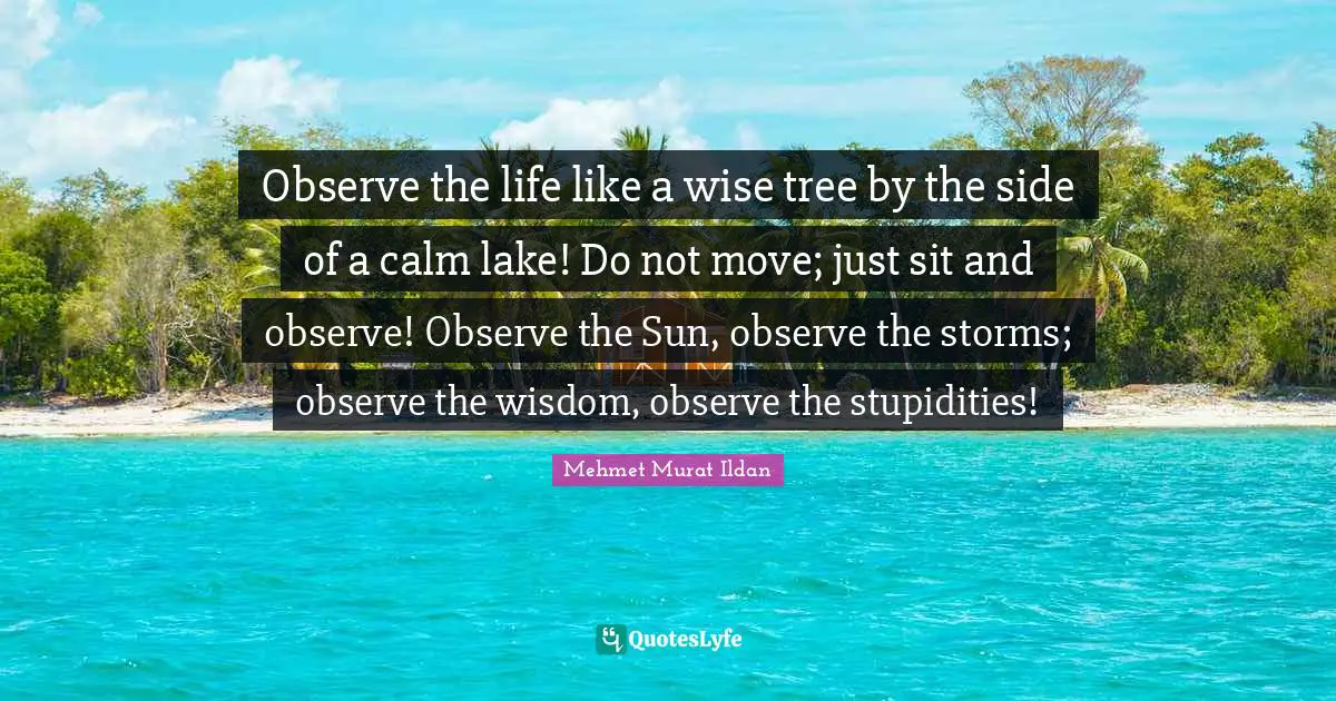 Observe the life like a wise tree by the side of a calm lake! Do not move; just sit and observe! Observe the Sun, observe the storms; observe the wisdom, observe the stupidities!
