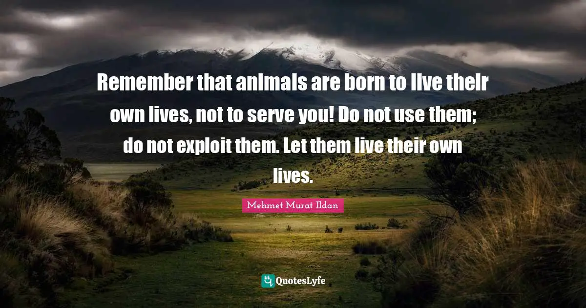 Remember that animals are born to live their own lives, not to serve you! Do not use them; do not exploit them. Let them live their own lives.