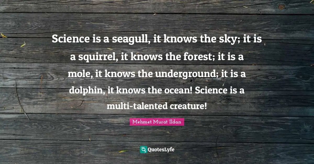 Seagull Quotes: "Science is a seagull, it knows the sky; it is a squirrel, it knows the forest; it is a mole, it knows the underground; it is a dolphin, it knows the ocean! Science is a multi-talented creature!"
