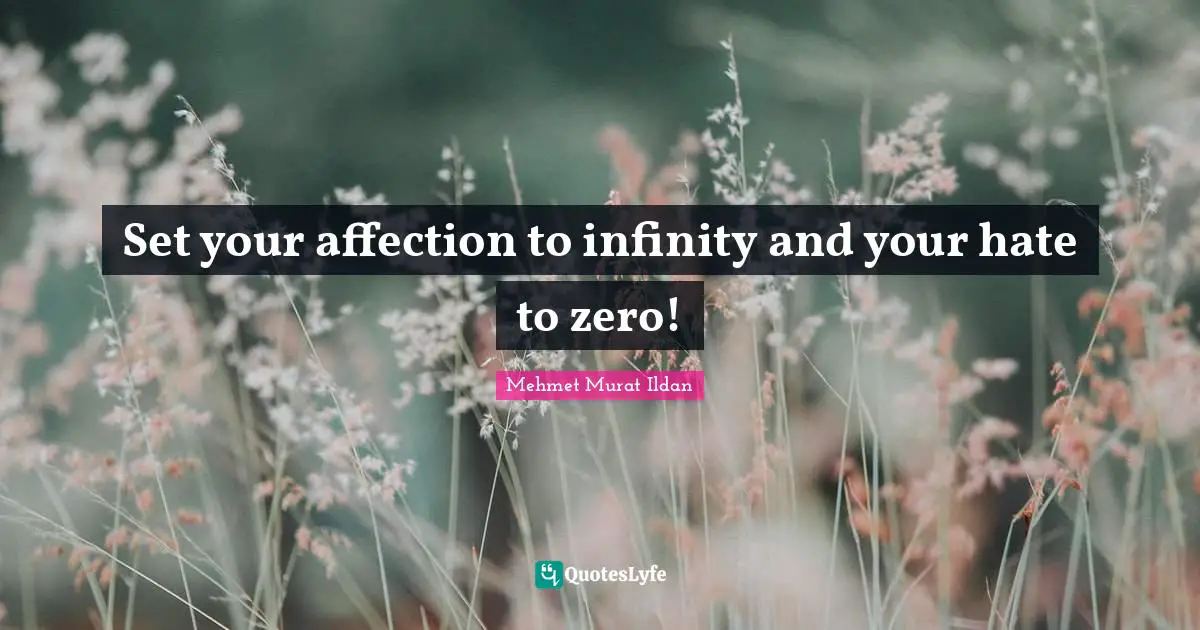 Set your affection to infinity and your hate to zero!