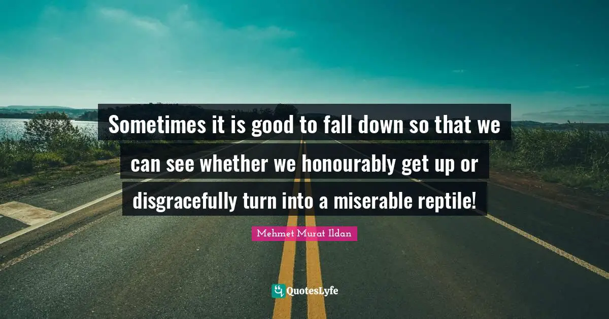 Reptiles Quotes: "Sometimes it is good to fall down so that we can see whether we honourably get up or disgracefully turn into a miserable reptile!"