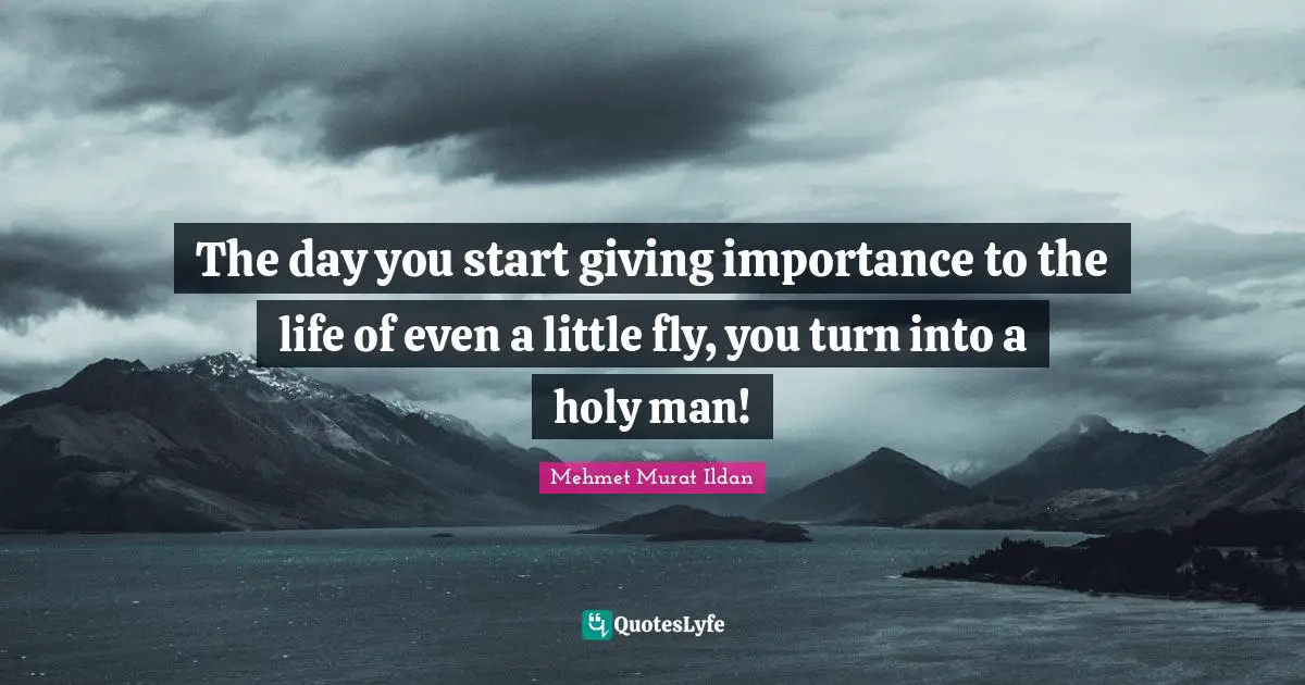 The day you start giving importance to the life of even a little fly, you turn into a holy man!