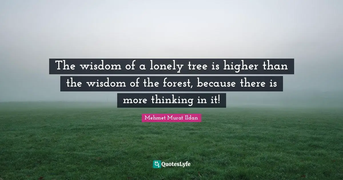 The wisdom of a lonely tree is higher than the wisdom of the forest, because there is more thinking in it!