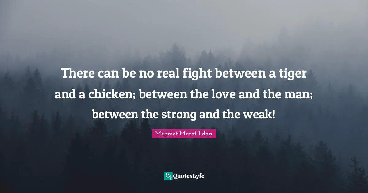 There can be no real fight between a tiger and a chicken; between the love and the man; between the strong and the weak!