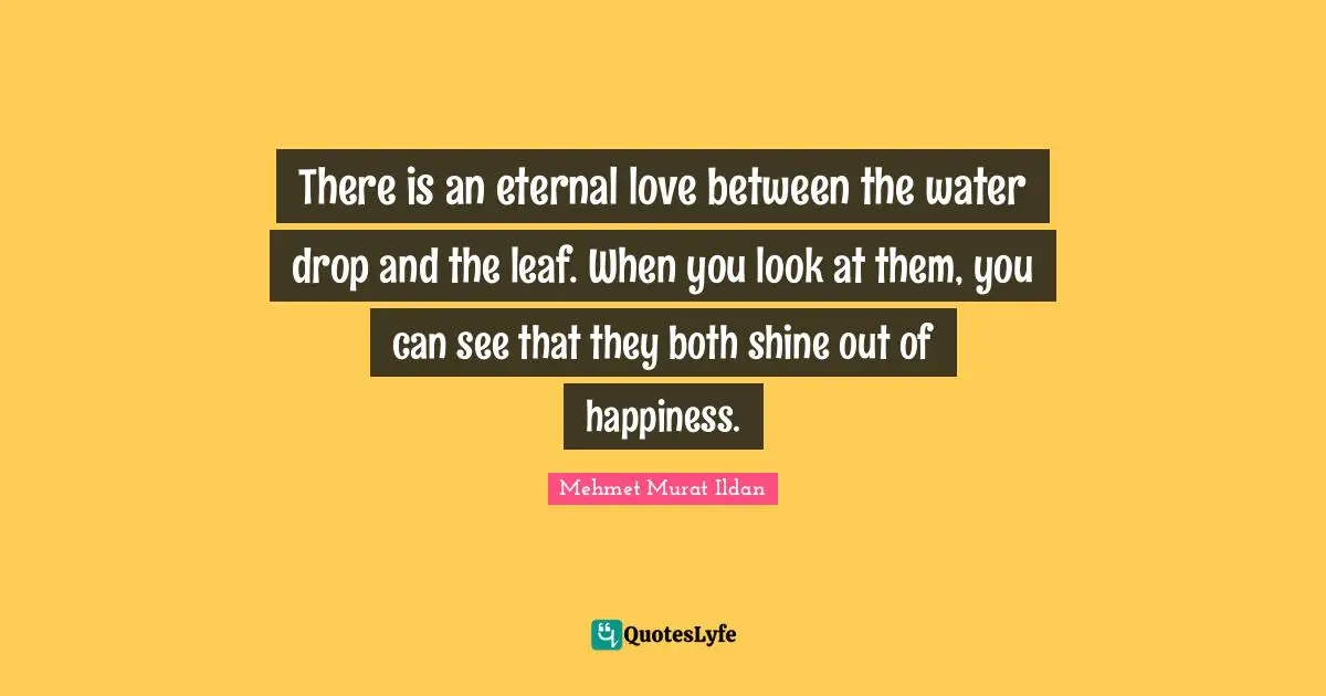 There is an eternal love between the water drop and the leaf. When you look at them, you can see that they both shine out of happiness.