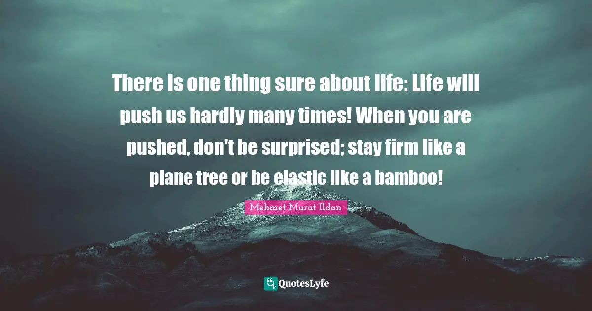 Tree Quotes: "There is one thing sure about life: Life will push us hardly many times! When you are pushed, don't be surprised; stay firm like a plane tree or be elastic like a bamboo!"
