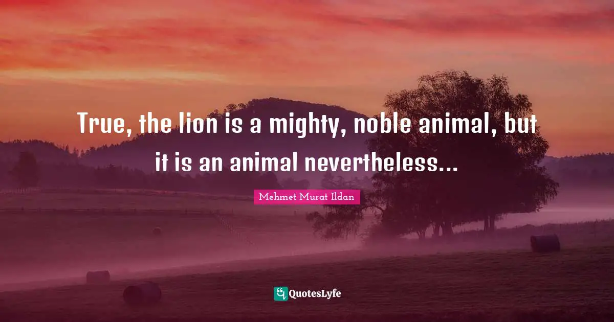 True, the lion is a mighty, noble animal, but it is an animal nevertheless...