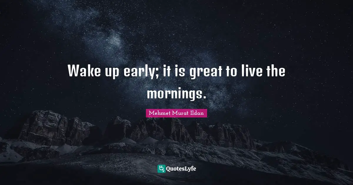 Wake up early; it is great to live the mornings.