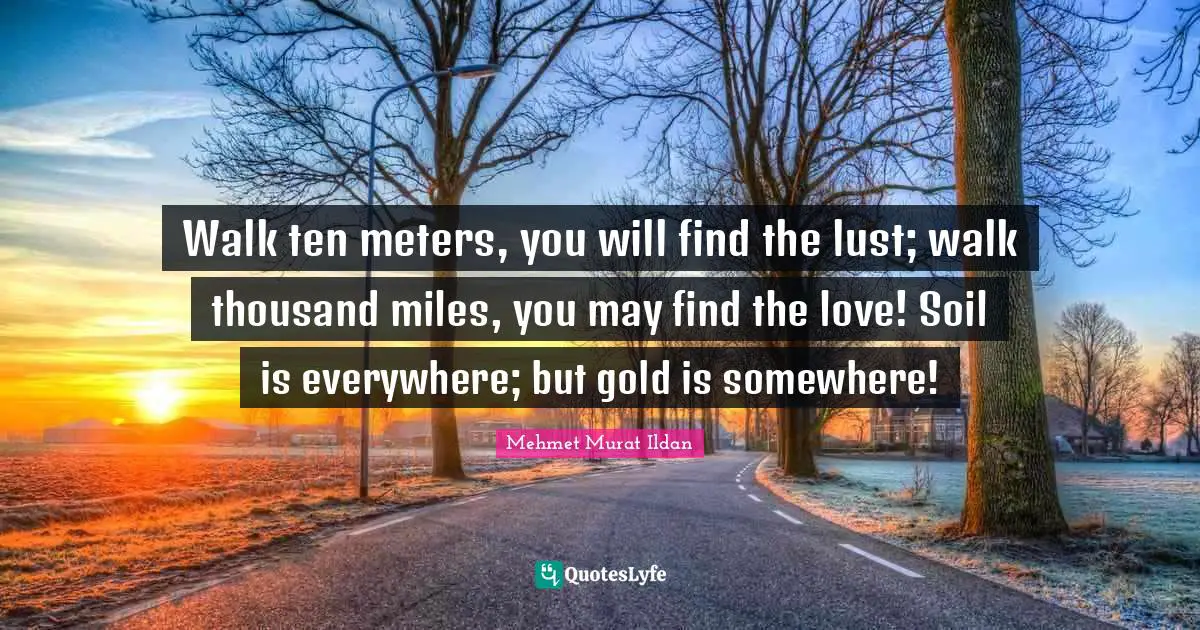 Walk ten meters, you will find the lust; walk thousand miles, you may find the love! Soil is everywhere; but gold is somewhere!