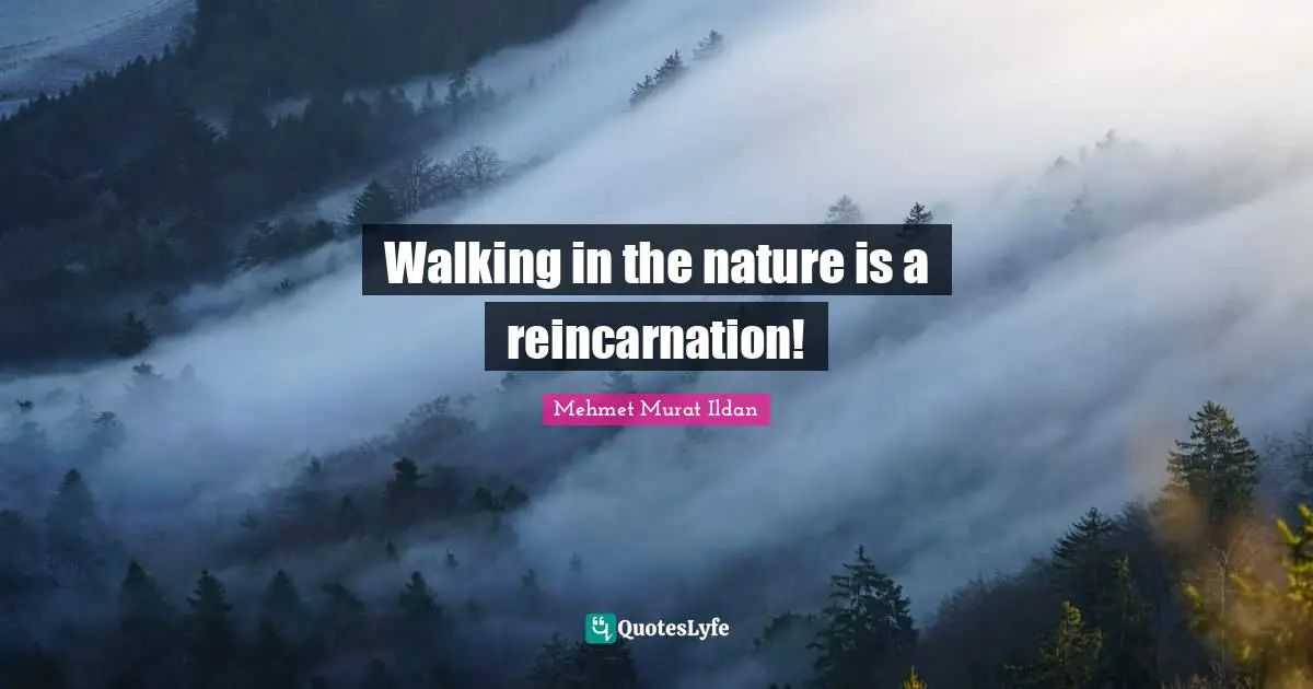 Walking in the nature is a reincarnation!