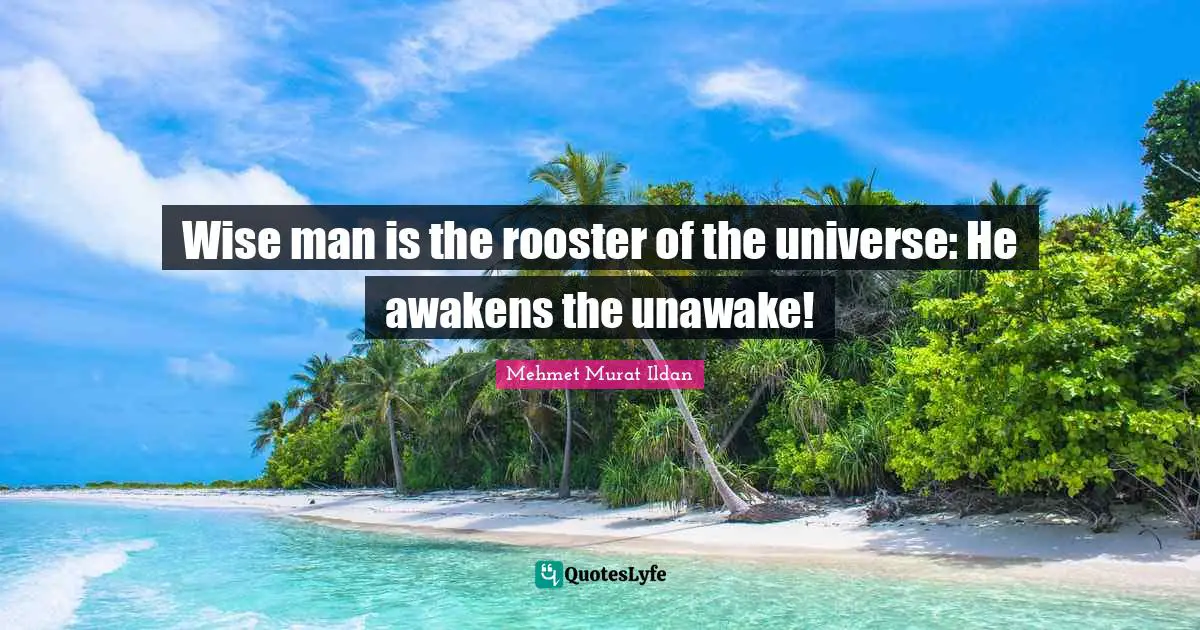 Wise man is the rooster of the universe: He awakens the unawake!