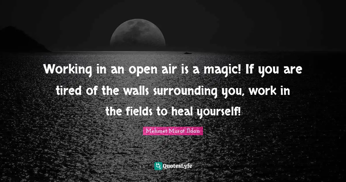 Working in an open air is a magic! If you are tired of the walls surrounding you, work in the fields to heal yourself!