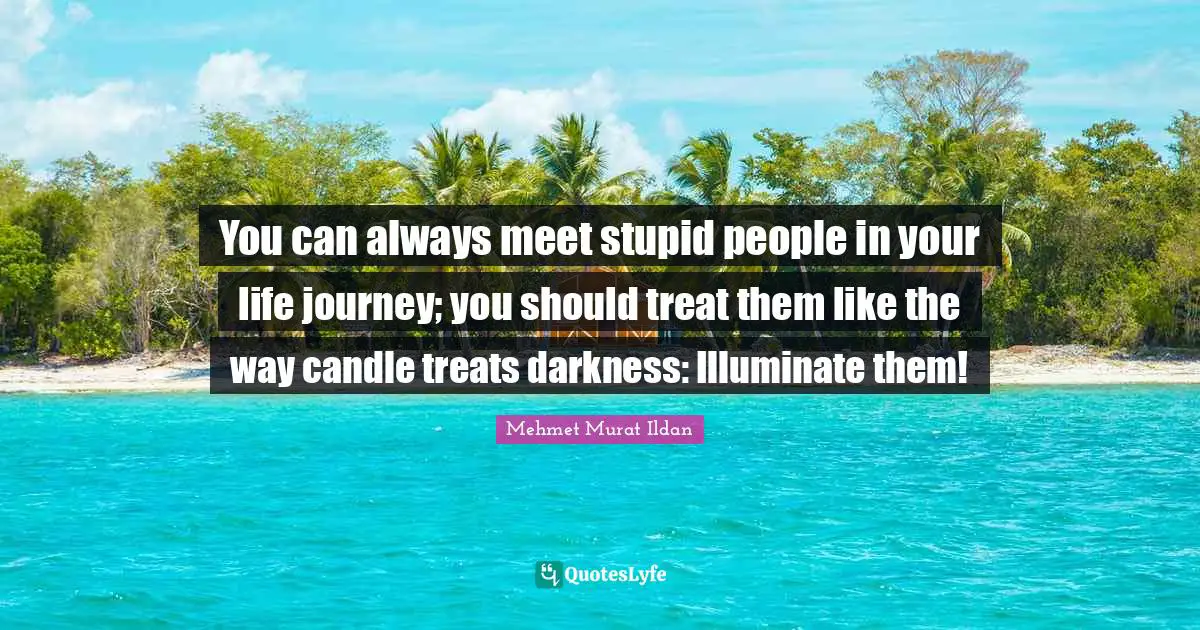 You can always meet stupid people in your life journey; you should treat them like the way candle treats darkness: Illuminate them!