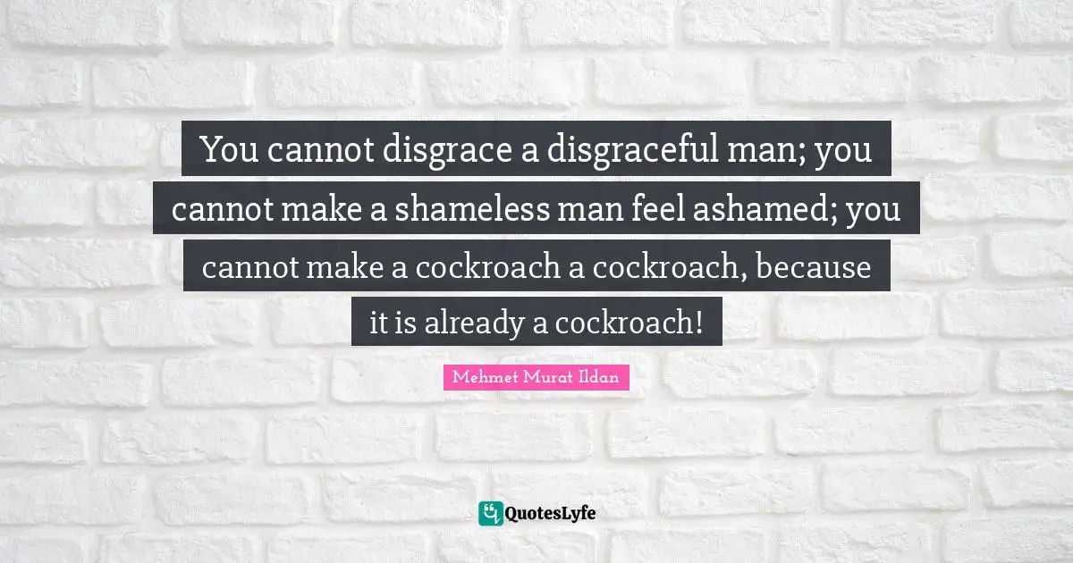 Disgraceful Quotes: "You cannot disgrace a disgraceful man; you cannot make a shameless man feel ashamed; you cannot make a cockroach a cockroach, because it is already a cockroach!"