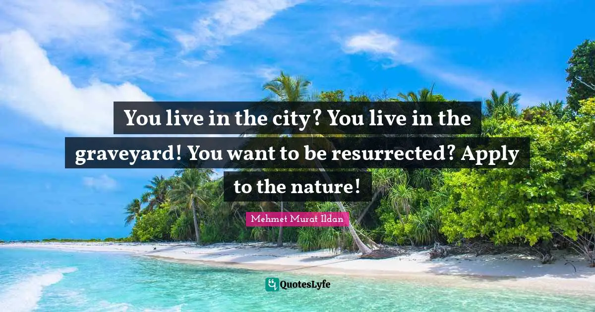You live in the city? You live in the graveyard! You want to be resurrected? Apply to the nature!