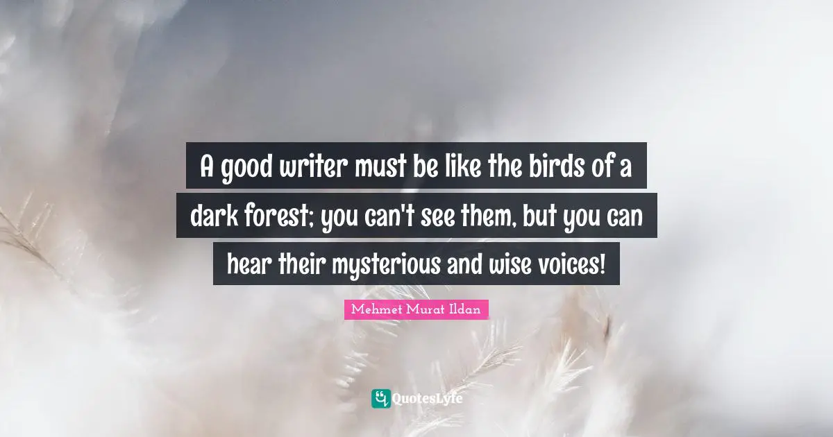 A good writer must be like the birds of a dark forest; you can't see them, but you can hear their mysterious and wise voices!