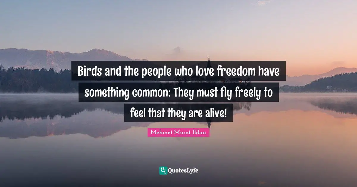 Birds and the people who love freedom have something common: They must fly freely to feel that they are alive!