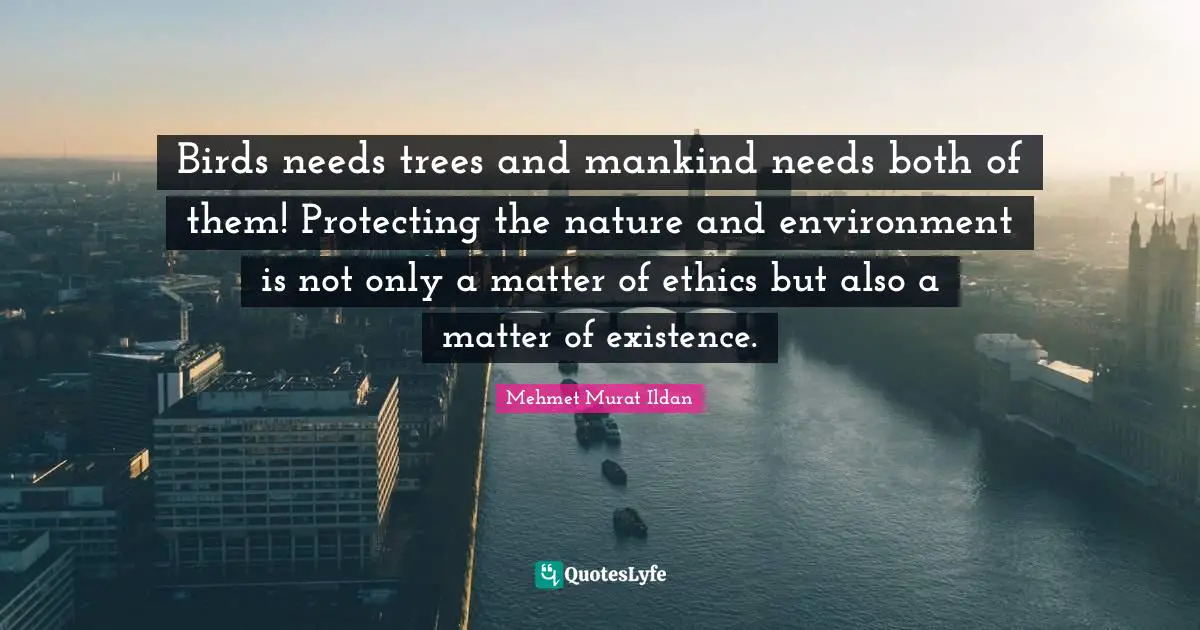 Birds needs trees and mankind needs both of them! Protecting the nature and environment is not only a matter of ethics but also a matter of existence.