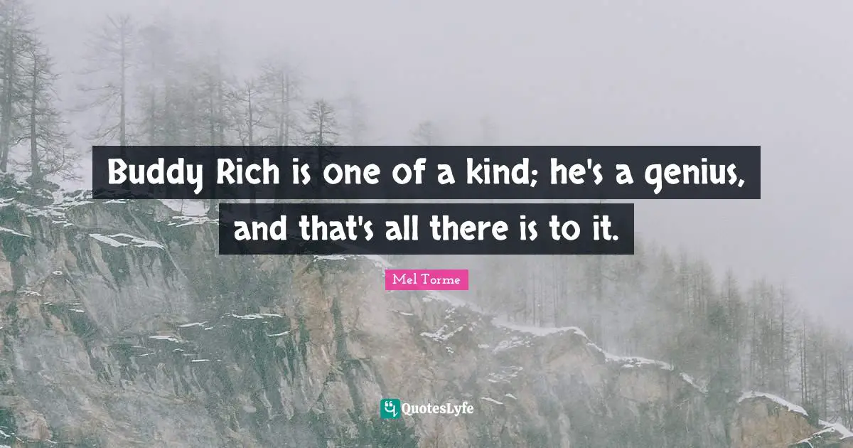 Buddy Rich is one of a kind; he's a genius, and that's all there is to it.