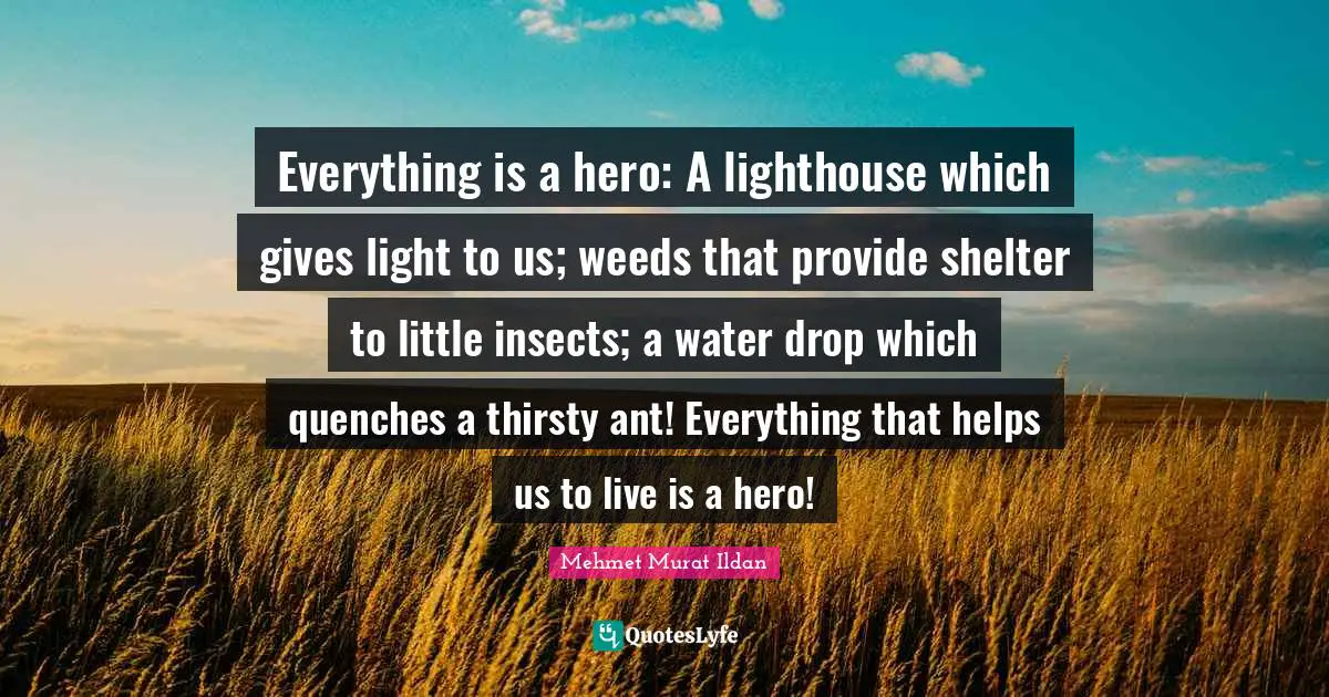 Be The Lighthouse Quotes: "Everything is a hero: A lighthouse which gives light to us; weeds that provide shelter to little insects; a water drop which quenches a thirsty ant! Everything that helps us to live is a hero!"