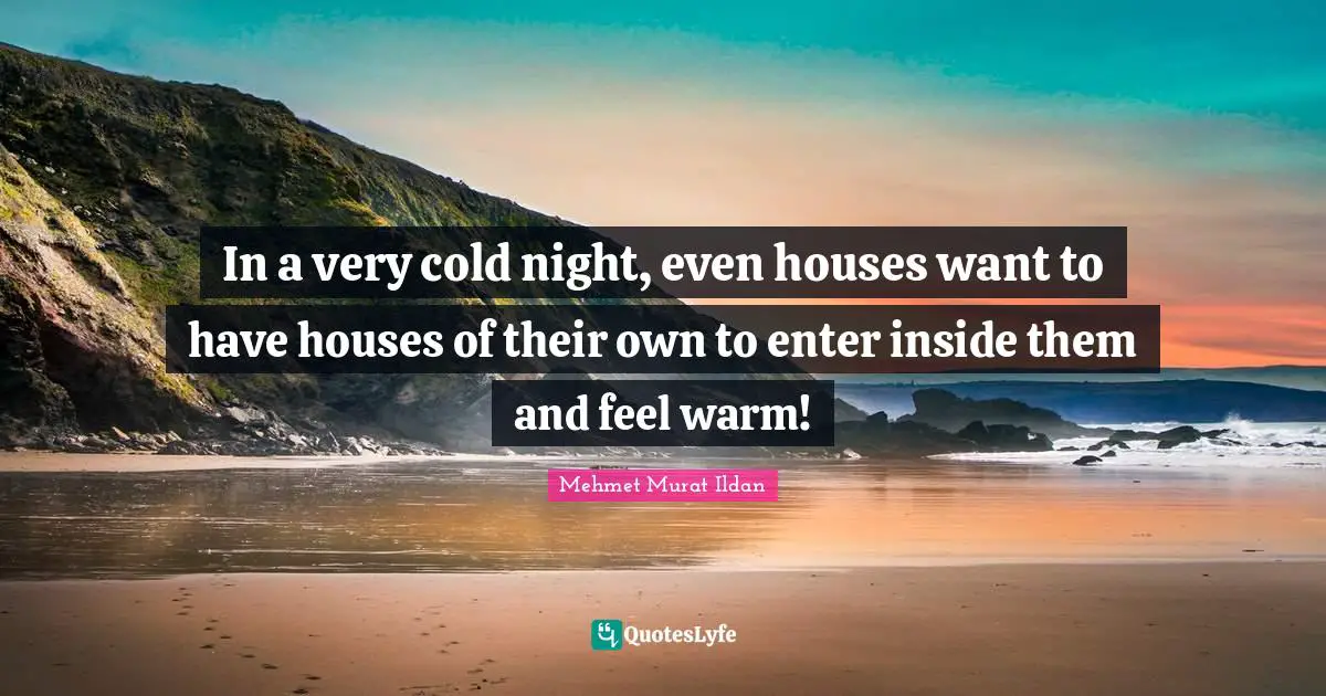 In a very cold night, even houses want to have houses of their own to enter inside them and feel warm!