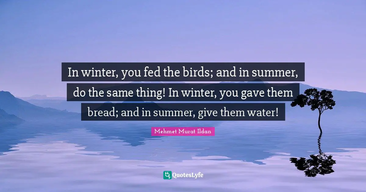 In winter, you fed the birds; and in summer, do the same thing! In winter, you gave them bread; and in summer, give them water!