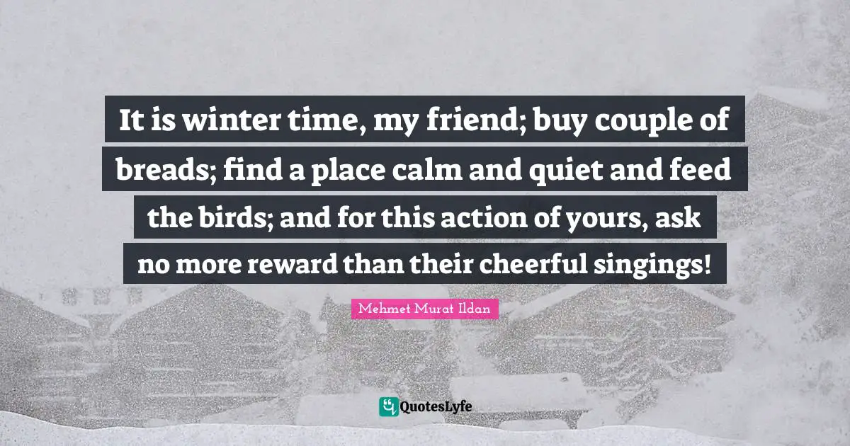It is winter time, my friend; buy couple of breads; find a place calm and quiet and feed the birds; and for this action of yours, ask no more reward than their cheerful singings!
