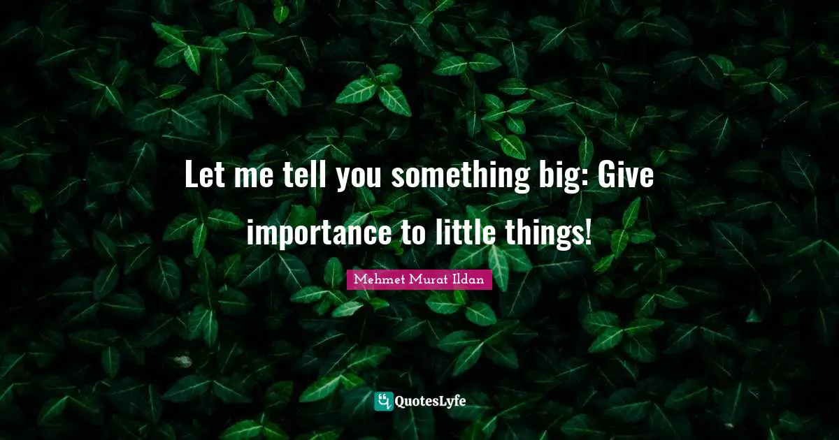 Let me tell you something big: Give importance to little things!
