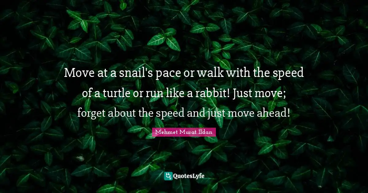 Pace Quotes: "Move at a snail's pace or walk with the speed of a turtle or run like a rabbit! Just move; forget about the speed and just move ahead!"