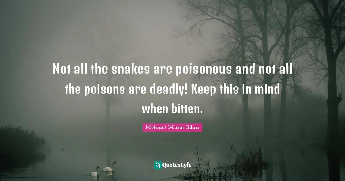Not all the snakes are poisonous and not all the poisons are deadly! Keep this in mind when bitten.