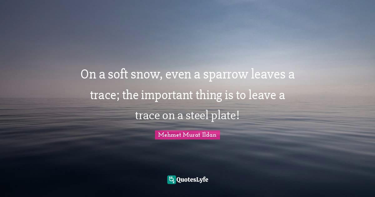 On a soft snow, even a sparrow leaves a trace; the important thing is to leave a trace on a steel plate!