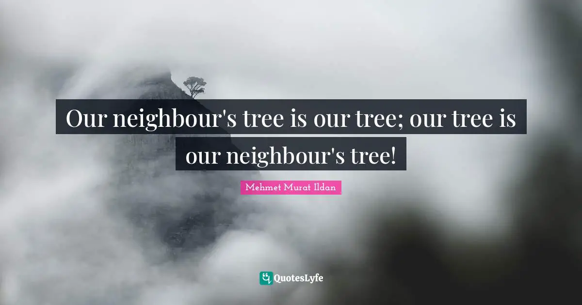 Our neighbour's tree is our tree; our tree is our neighbour's tree!