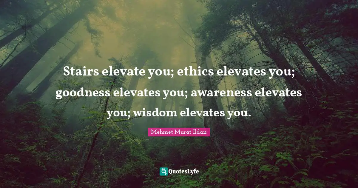 Stairs elevate you; ethics elevates you; goodness elevates you; awareness elevates you; wisdom elevates you.