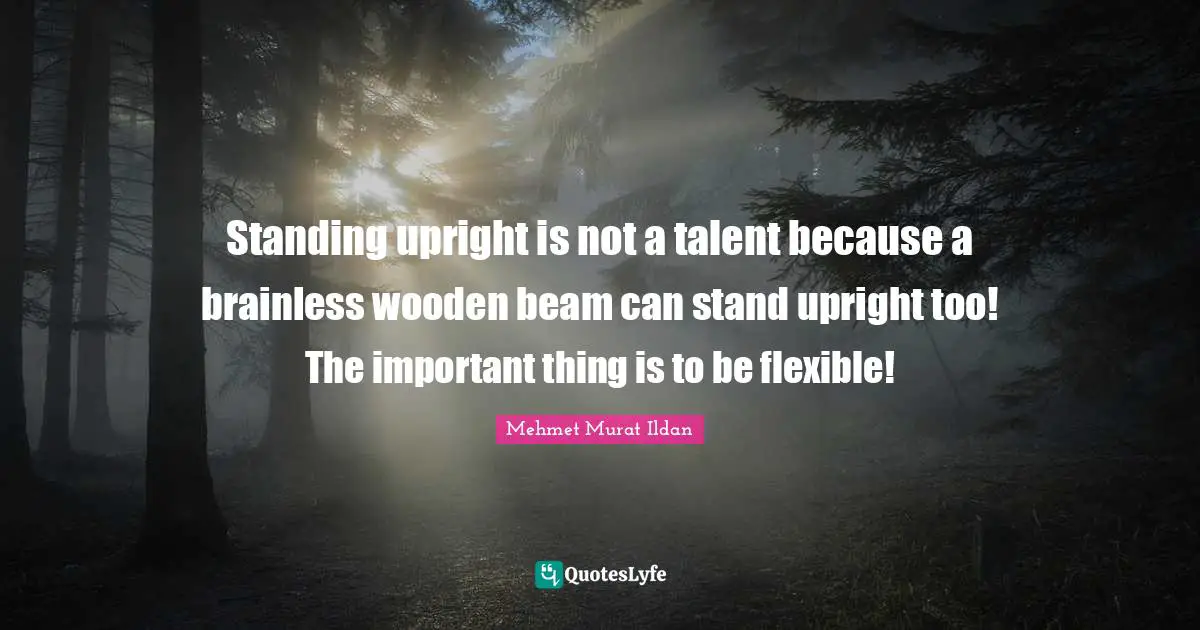 Standing upright is not a talent because a brainless wooden beam can stand upright too! The important thing is to be flexible!
