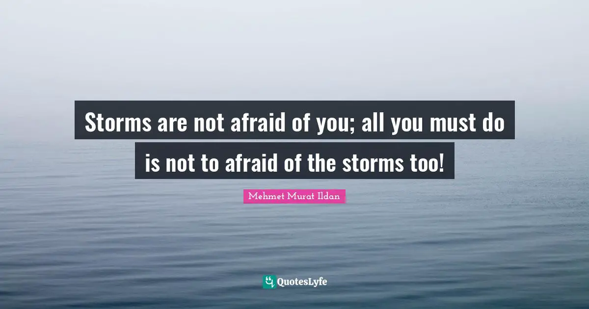 Storms are not afraid of you; all you must do is not to afraid of the storms too!