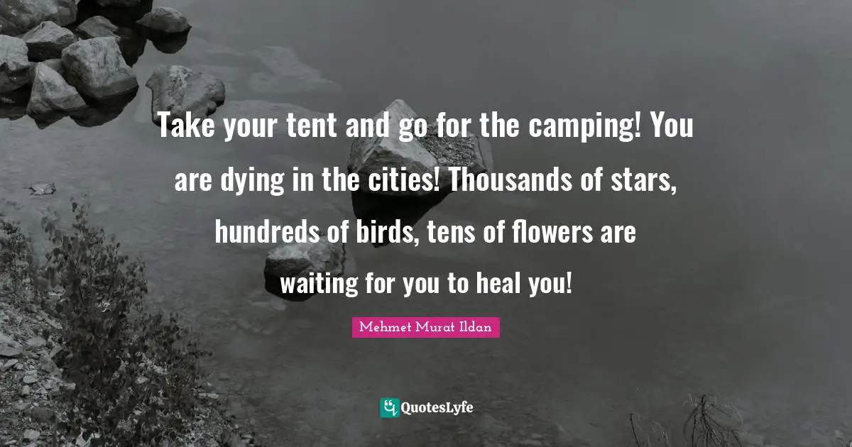 Take your tent and go for the camping! You are dying in the cities! Thousands of stars, hundreds of birds, tens of flowers are waiting for you to heal you!