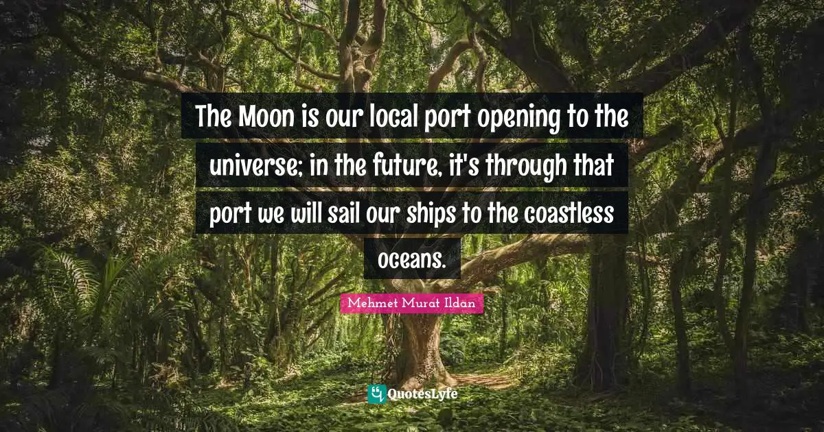 The Moon is our local port opening to the universe; in the future, it's through that port we will sail our ships to the coastless oceans.
