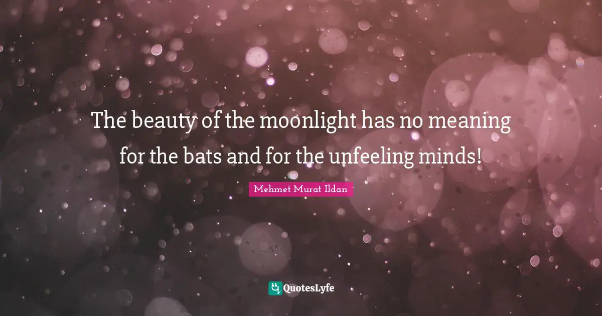 The beauty of the moonlight has no meaning for the bats and for the unfeeling minds!
