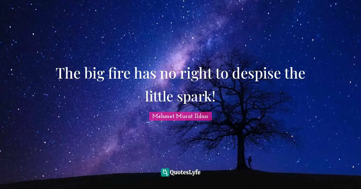 The big fire has no right to despise the little spark!